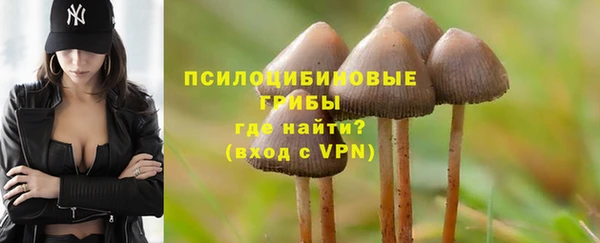 дживик Алексин