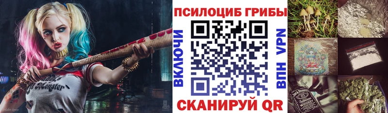Галлюциногенные грибы Psilocybine cubensis  Бикин 